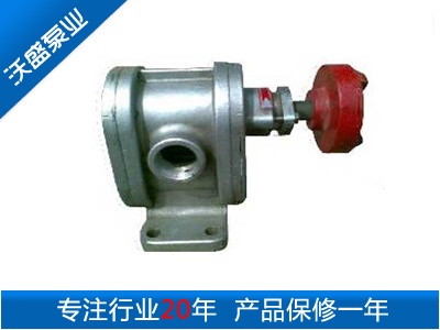 2CY型不锈钢齿轮油泵|高压不锈钢齿轮泵|喷射燃油泵